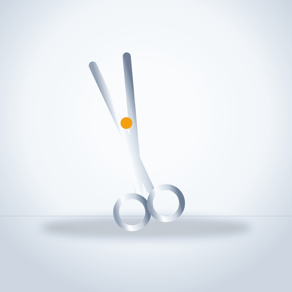 Thinning Scissors